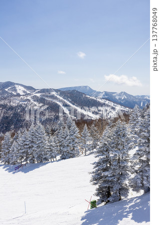 長野県、冬の志賀高原の雪景色 長野県、冬の志賀高原の雪景色 137768049