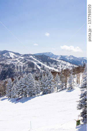 長野県、冬の志賀高原の雪景色 137768050