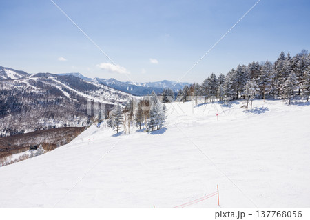 長野県、冬の志賀高原の雪景色 137768056