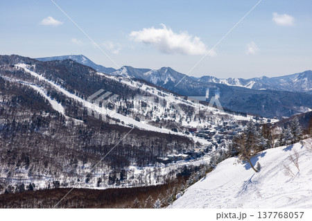 長野県、冬の志賀高原の雪景色 137768057