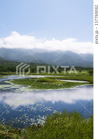 湖に映る青空 夏の北海道 知床五湖 湖に映る青空 夏の北海道 知床五湖 137768082