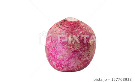 赤かぶ マクロ写真 背景透過 野菜素材 赤かぶ マクロ写真 背景透過 野菜素材 137768938