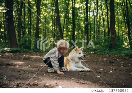 On the pathway. Little boy is with Shiba Inu dog in the forest On the pathway. Little boy is with Shiba Inu dog in the forest 137768982