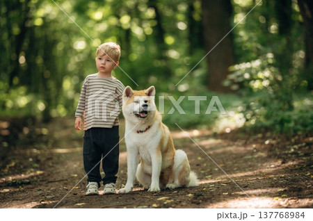 Looking forward, sitting. Little boy is with Shiba Inu dog in the forest Looking forward, sitting. Little boy is with Shiba Inu dog in the forest 137768984