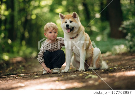 Relaxing, resting while sitting on the ground. Little boy is with Shiba Inu dog in the forest Relaxing, resting while sitting on the ground. Little boy is with Shiba Inu dog in the forest 137768987