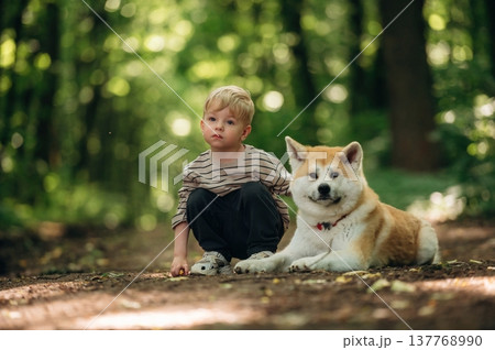 Looking forward, sitting. Little boy is with Shiba Inu dog in the forest 137768990