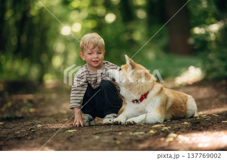 Relaxing, resting while sitting on the ground. Little boy is with Shiba Inu dog in the forest 137769002