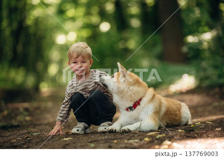 Relaxing, resting while sitting on the ground. Little boy is with Shiba Inu dog in the forest Relaxing, resting while sitting on the ground. Little boy is with Shiba Inu dog in the forest 137769003