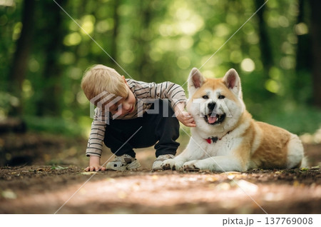Focused view, on the ground. Little boy is with Shiba Inu dog in the forest 137769008