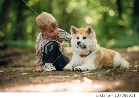 Focused view, on the ground. Little boy is with Shiba Inu dog in the forest Focused view, on the ground. Little boy is with Shiba Inu dog in the forest 137769011