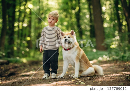Little boy is with Shiba Inu dog in the forest Little boy is with Shiba Inu dog in the forest 137769012