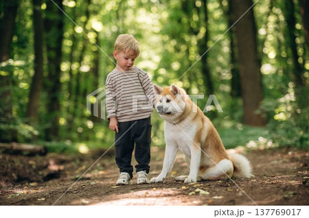 Beautiful nature, standing, enjoying. Little boy is with Shiba Inu dog in the forest 137769017