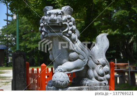 狛犬の像(阿形像)（八雲神社･昇仙峡 頂上／山梨県甲府市） 137769121