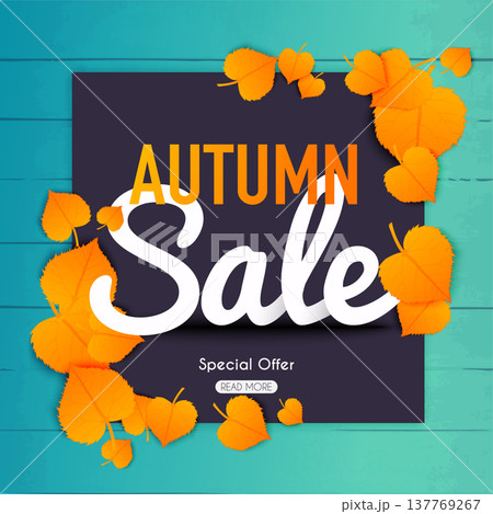 Autumn sale Banner with autumn leaf.  Poster, Flyer. Blurred background. Vector illustration. 137769267