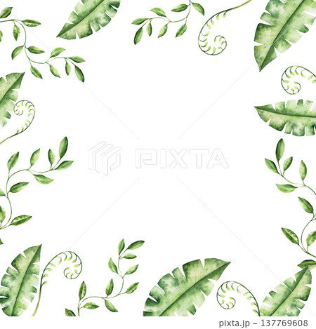 Branch with leaves frame. Watercolor fern with coiled frond with leaves, hand drawn pastel climbing green liana. Isolated botanical illustration on transparent background. Perfect for tropical design 137769608
