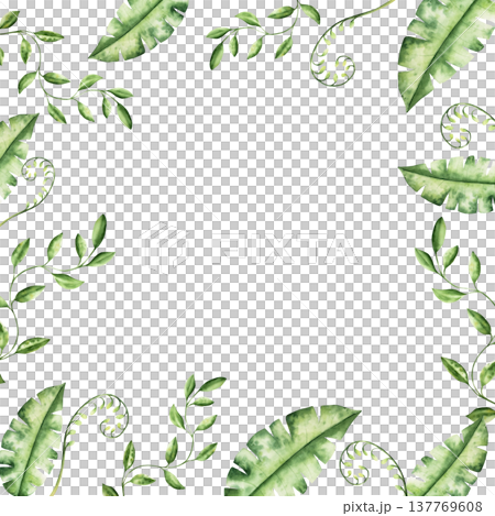 Branch with leaves frame. Watercolor fern with coiled frond with leaves, hand drawn pastel climbing green liana. Isolated botanical illustration on transparent background. Perfect for tropical design 137769608