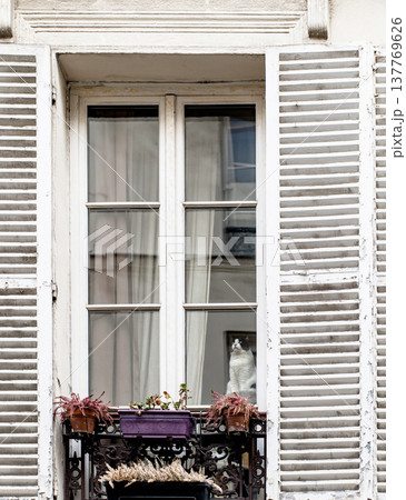 Curious cat sitting behind a classic Parisian window with shutters and a small balcony garden Curious cat sitting behind a classic Parisian window with shutters and a small balcony garden 137769626