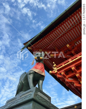 京都伏見稲荷神社のお狐様 137769893