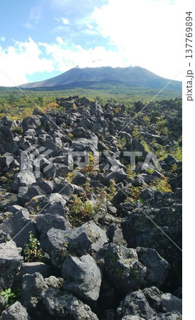 群馬県鬼押出し園から見た浅間山と噴火によって造られた風景 137769894