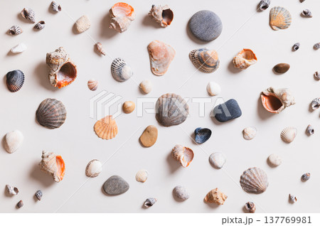 Beautiful pastel background of seashells and pebbles on a light top view 137769981