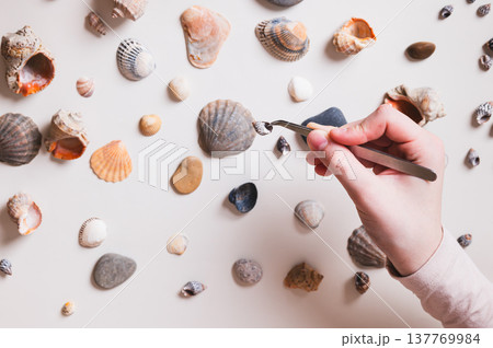 Seashell in tweezers in children's hands and shells and pebbles on the table, top view 137769984
