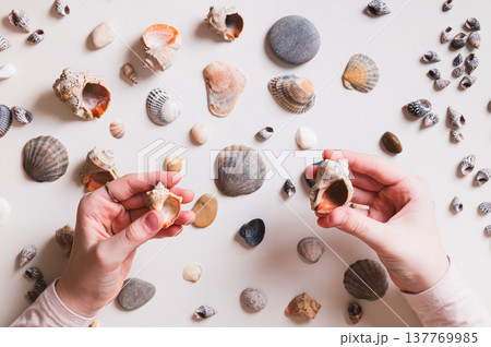 Children's hands holding seashells on the background of a table with seashells and pebbles top view 137769985