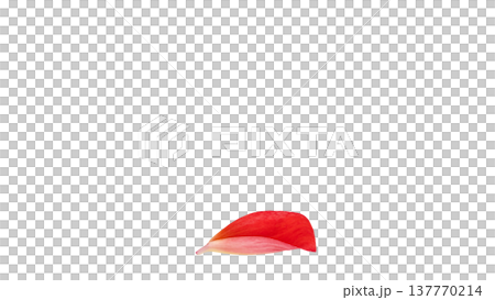 Red dahlia petals, macro, transparent background. Red dahlia petals, macro, transparent background. 137770214