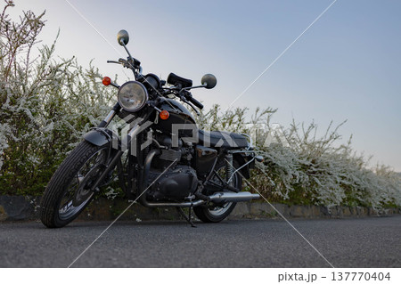 雪柳の咲く道に停めたクラシックバイクと青空 雪柳の咲く道に停めたクラシックバイクと青空 137770404