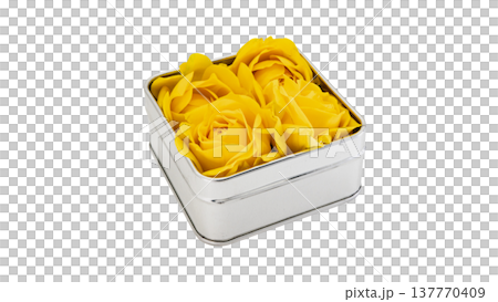 Yellow rose, silver box, transparent background, macro Yellow rose, silver box, transparent background, macro 137770409