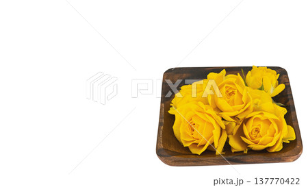 黄色の薔薇 マクロ 背景透過 137770422