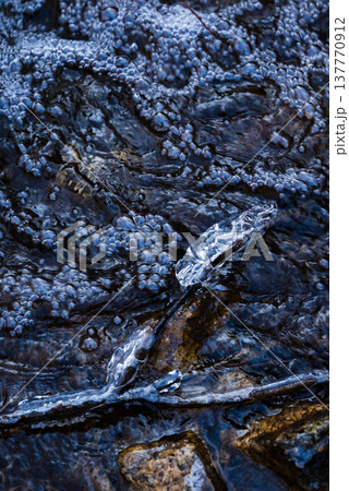 泡沫と飛沫氷【長野県】 137770912