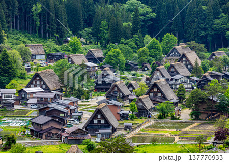 岐阜県　白川郷の風景 137770933