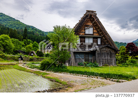 岐阜県　白川郷の風景 137770937