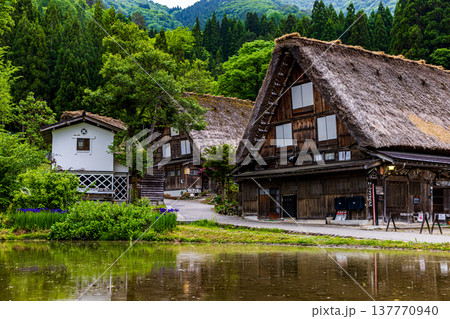 岐阜県　白川郷の風景 137770940