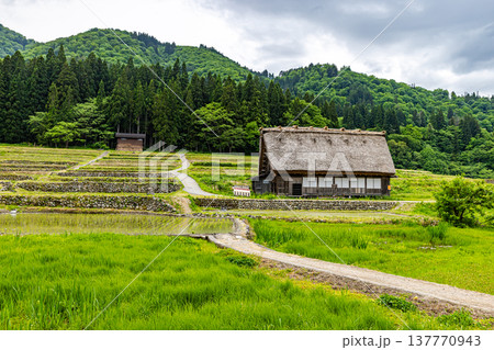 岐阜県　白川郷の風景 137770943