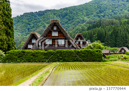 岐阜県 白川郷の風景 岐阜県 白川郷の風景 137770944