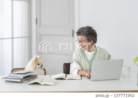 デスクワークをするシニア女性と愛犬 137771002