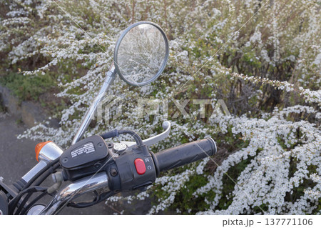黒いクラシックバイクのミラーに映る雪柳 137771106