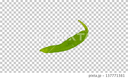 ししとう　マクロ撮影　背景透過　料理素材 137771381