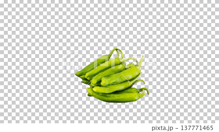 獅子椒，微距攝影，透明背景，食物原料。 137771465