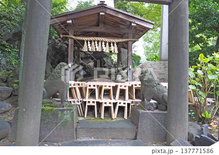 素盞雄神社の瑞光石（東京都荒川区） 137771586