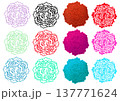 カーネーションの花柄 137771624