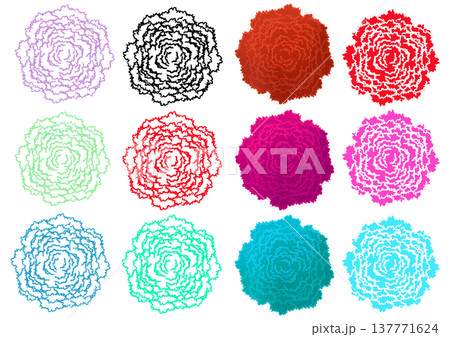 カーネーションの花柄 カーネーションの花柄 137771624