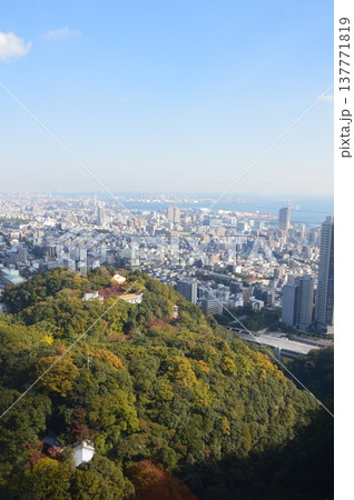 神戸布引ハーブ園から眺めた神戸の町（兵庫県神戸市中央区） 137771819