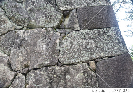 高知城の「石垣」（高知県高知市） 137771820