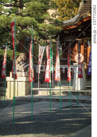 神社境内の旗と狛犬 Shrine courtyard with banners 137772062