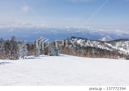 長野県、冬の志賀高原の雪景色 137772394