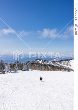 長野県、冬の志賀高原の雪景色 長野県、冬の志賀高原の雪景色 137772397
