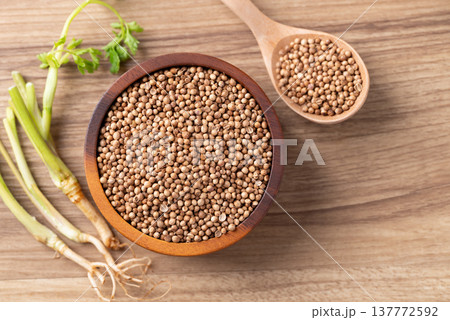 Coriander seeds and root, Top view of Thai food ingredients Coriander seeds and root, Top view of Thai food ingredients 137772592
