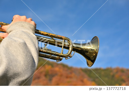 晴れた日の青空とトランペット 137772718